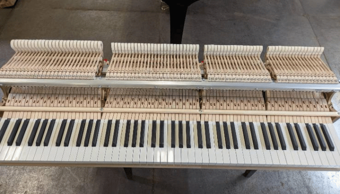 ヤマハ　アクション