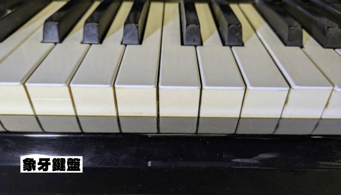 象牙鍵盤