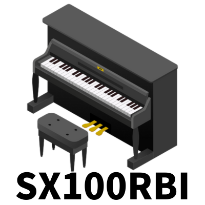 SX100RBI