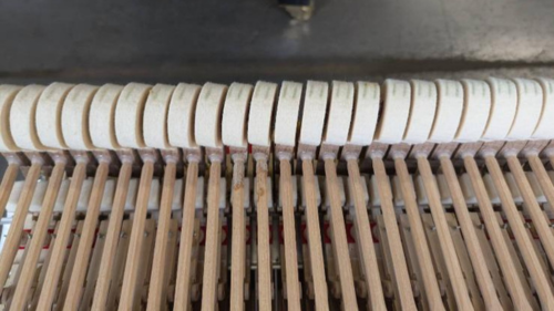 買取実績用　YAMAHA C3L 6195001 (2)