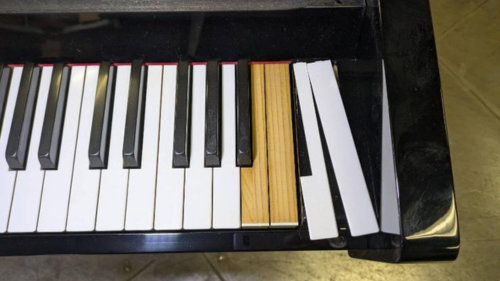 買取実績用　YAMAHA YM5 6247931 (2)