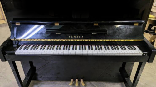 買取実績用　YAMAHA YM5 6247931