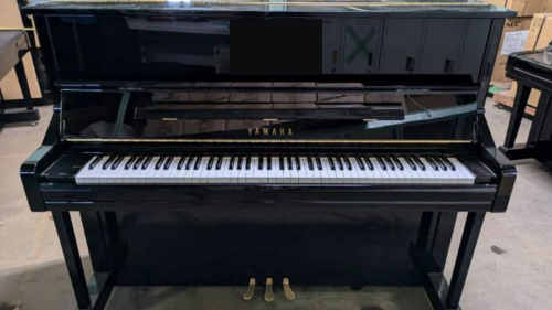 買取実績用　YAMAHA YU11 6379794