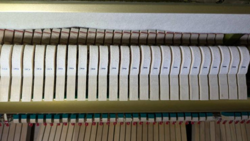 買取実績用　YAMAHA YU11 6421003-1 (1)