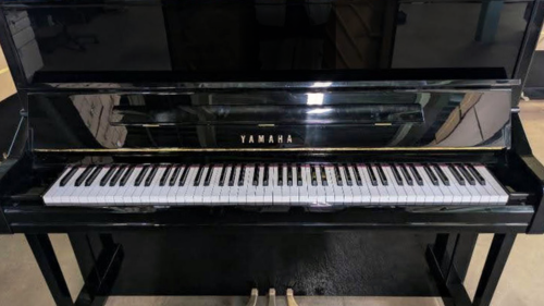 買取実績用　YAMAHA YU11 6421003-1