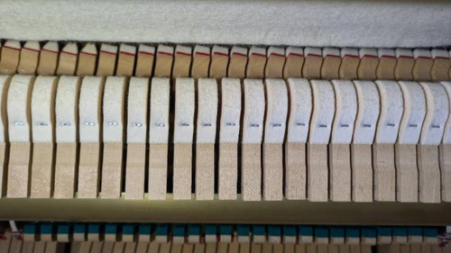 買取実績用　YAMAHA YU1WN 5776914-3