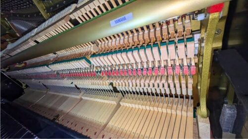 買取実績用　YAMAHA YU3S 5572428 (1)