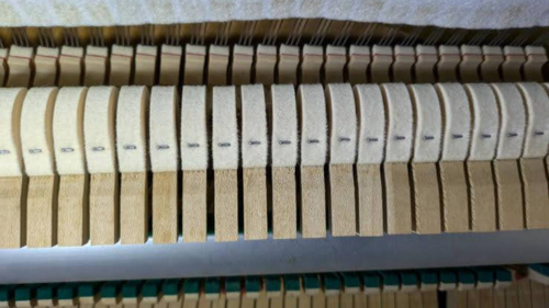 買取実績用KAWAI K22 2426354-2