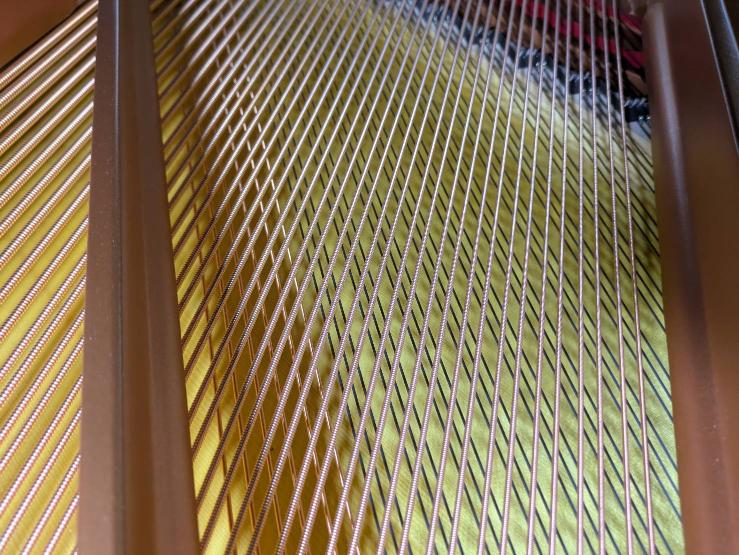 買取実績用YAMAHA C1TD 6535596-2