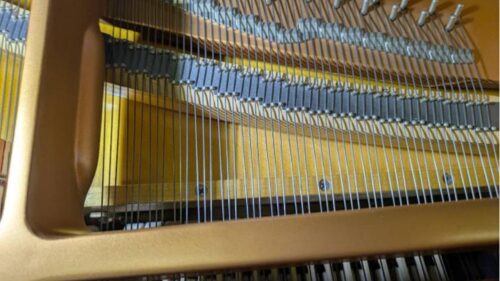 買取実績用YAMAHA C3L 6079166-2