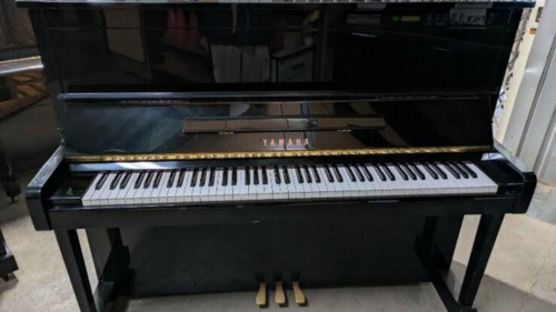 買取実績用YAMAHA SX100RBL 4906638-1