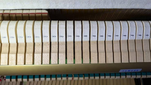 買取実績用YAMAHA SX100RBL 4906638-3