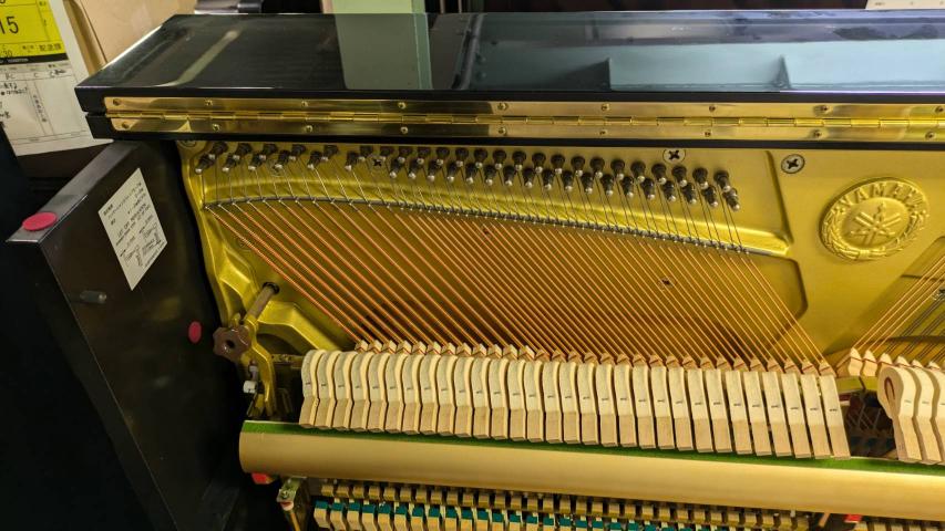 買取実績用YAMAHA YU1S 5584229-3