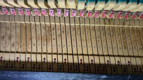 買取実績用ヤマハ U1H-2695631-2