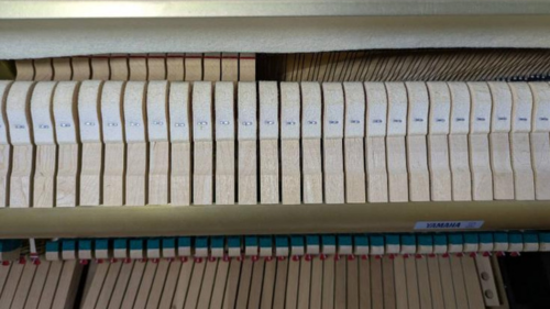 買取実績用ヤマハ YU1-5570223-2