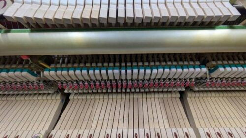 買取実績用ヤマハ YU1SZ-5880454-2