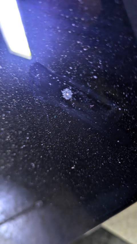 買取実績用ヤマハb113-J33352019-2