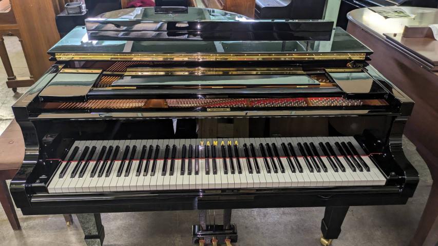 ヤマハ　C1L　5925850