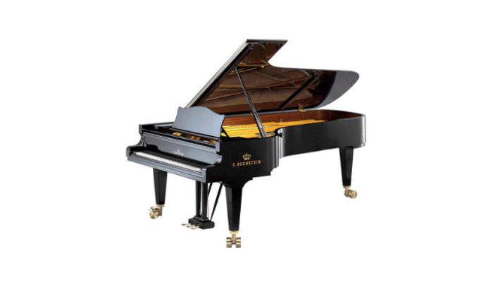 C.ベヒシュタイン コンサート D-282