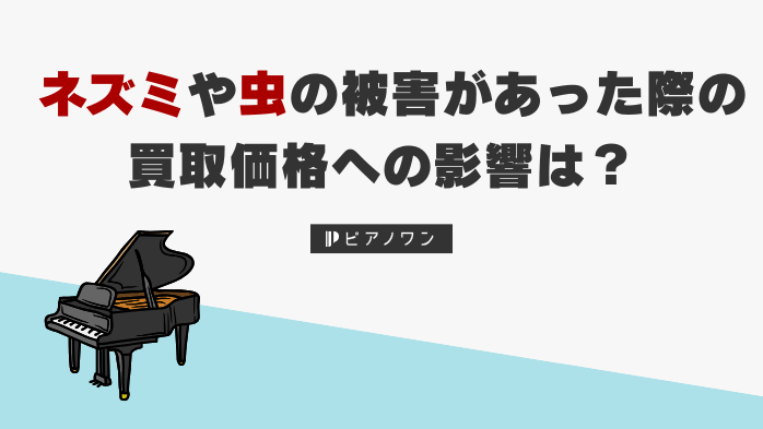 ピアノ買取でネズミや虫の被害があった際の買取価格への影響は？