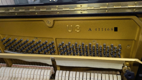 機種名・製造番号・搬出経路などの確認