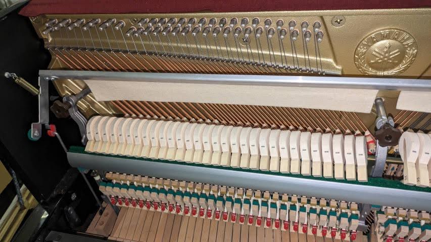 買取実績用　YAMAHA B113 J28226100-2