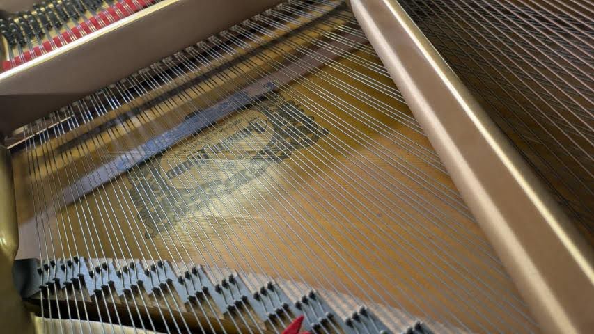 買取実績用　YAMAHA C3B 4691409 -3