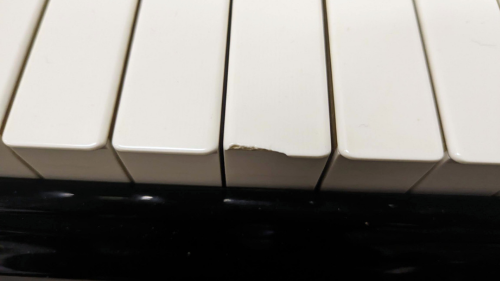 買取実績用　YAMAHA C3E 4981834 (1)