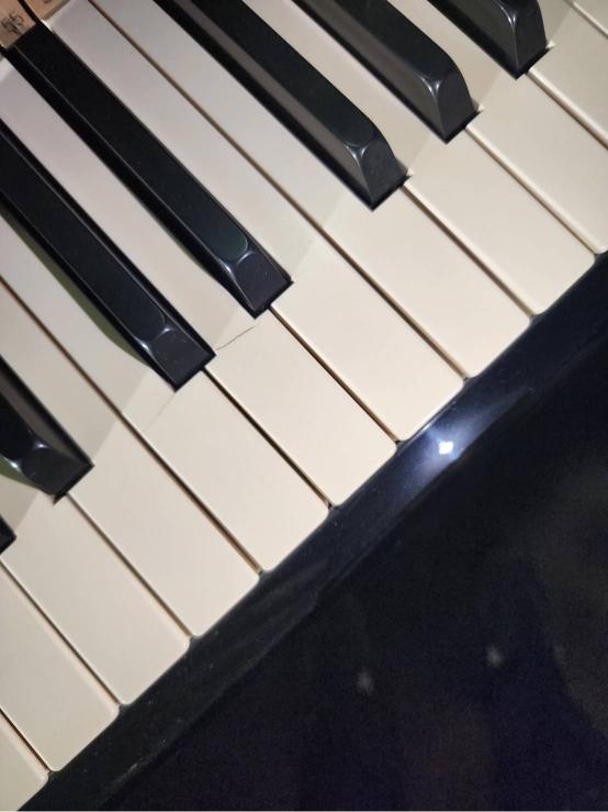 買取実績用KAWAI DS85 2018582-2