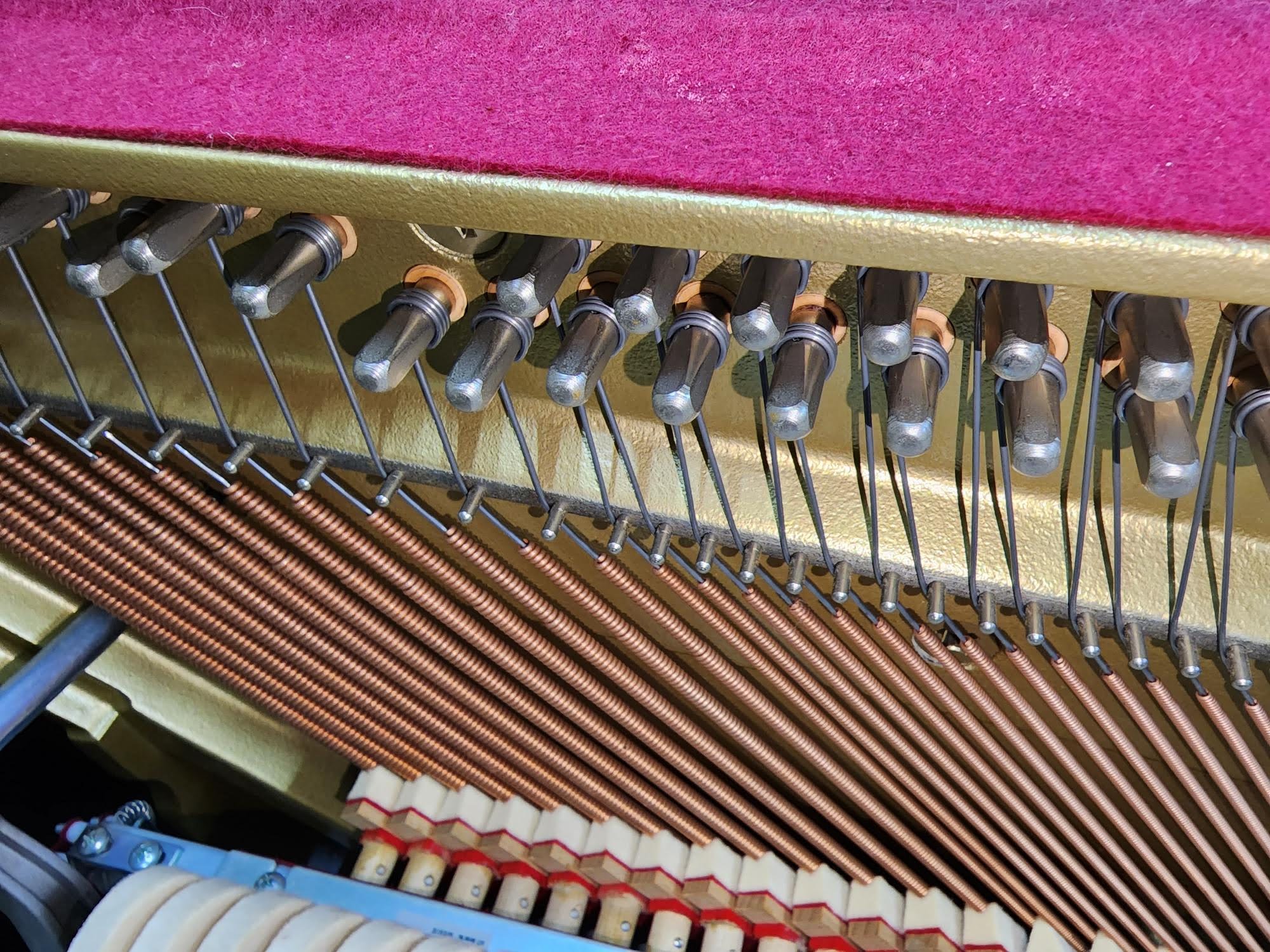 買取実績用YAMAHA B113SG2 J30257455-3