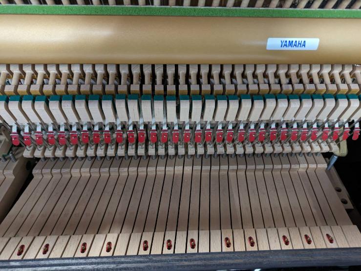 買取実績用YAMAHA B121SD J28223258-2