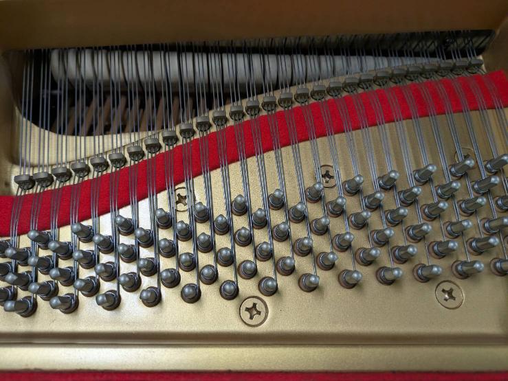 買取実績用YAMAHA C3E 4950849-2