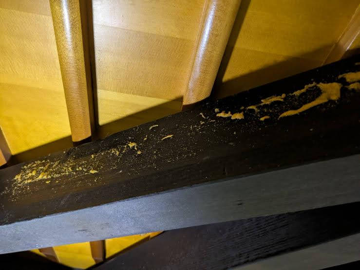 買取実績用YAMAHA C3E 4950849-3