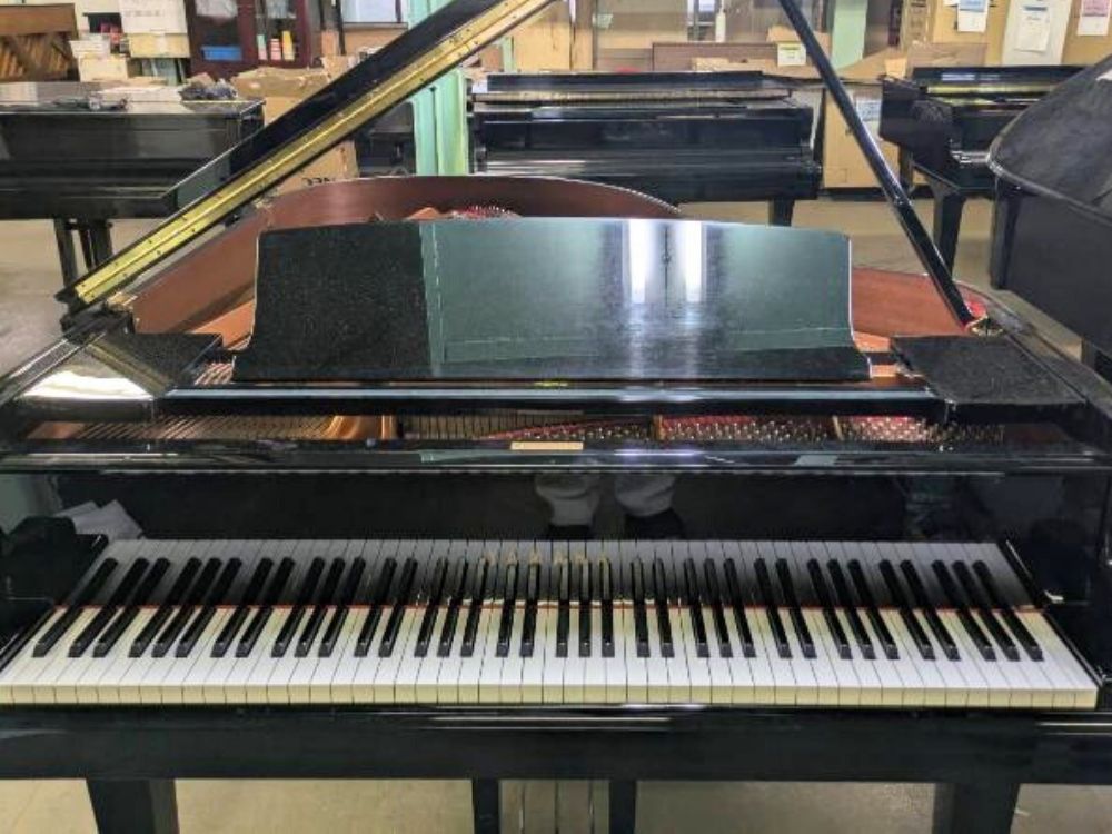 買取実績用YAMAHA C3X 6375920-1