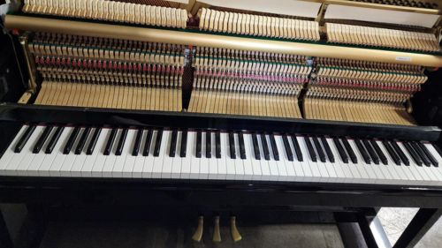 買取実績用YAMAHA U10BL 4756083-1