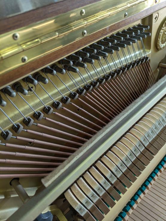 買取実績用YAMAHA WX3AWN 5208638-2