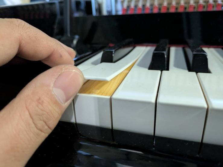 買取実績用YAMAHA b113 J28216597-3