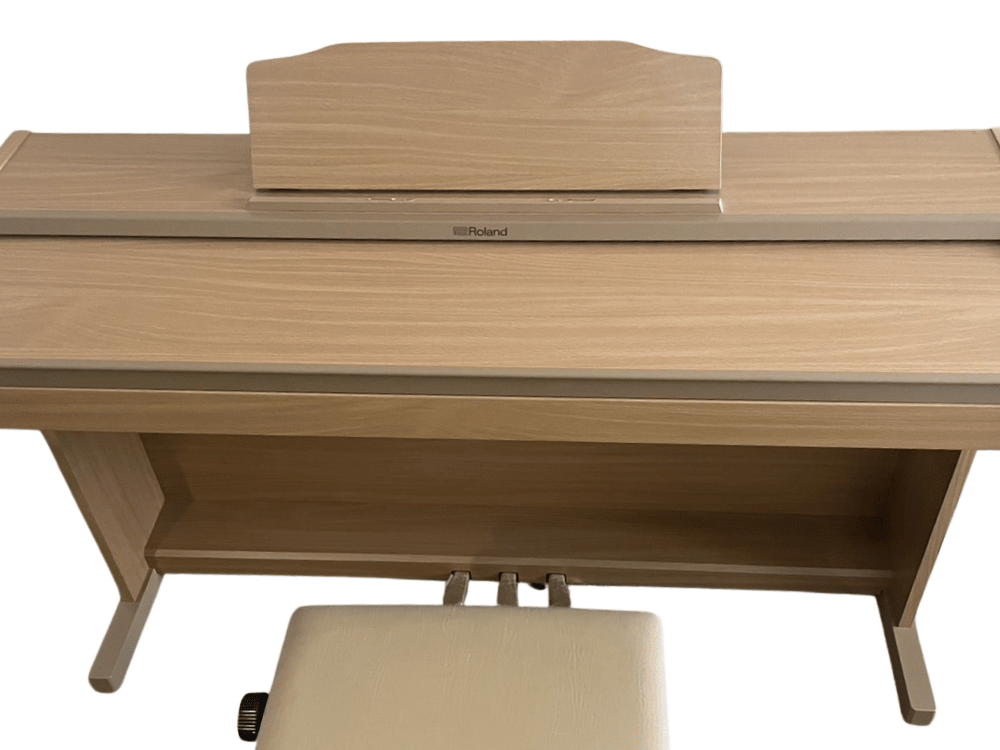 roland-RP501R