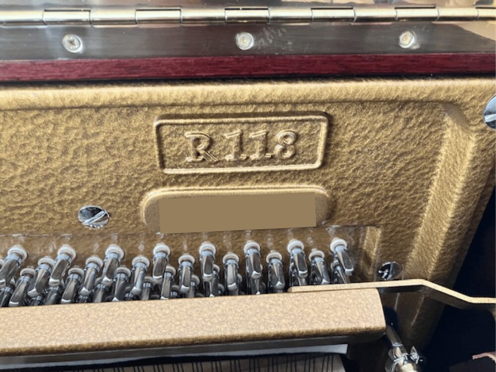 ベヒシュタイン118