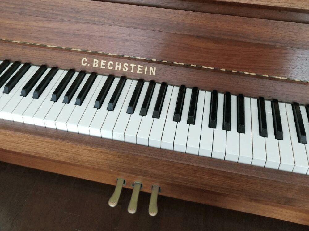 ベヒシュタイン118
