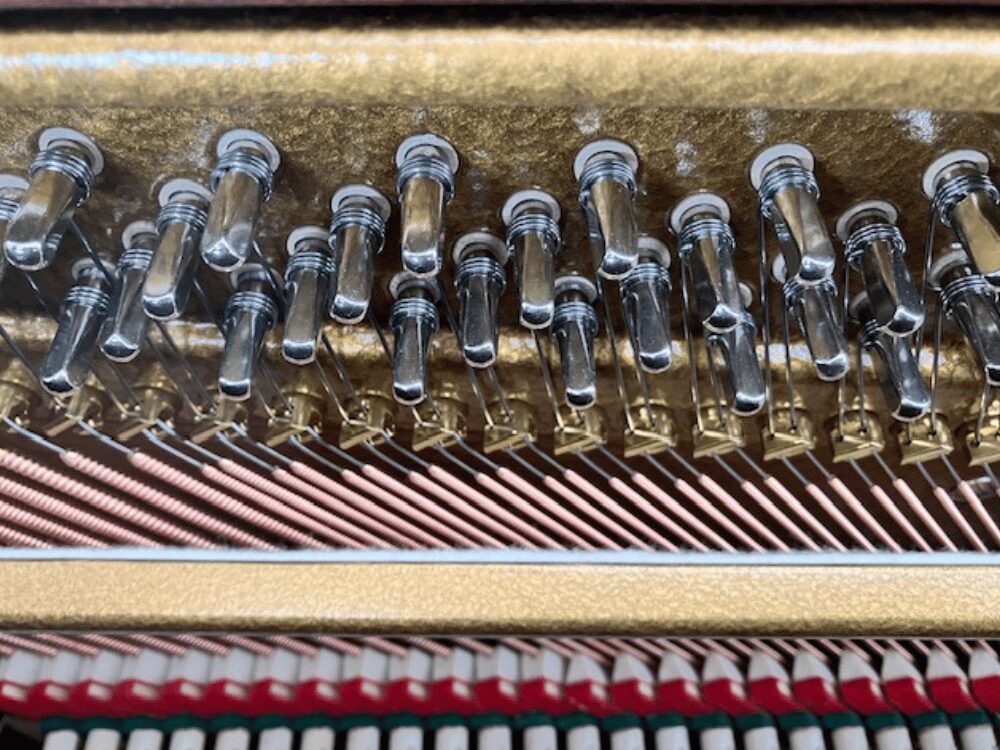 ベヒシュタイン118