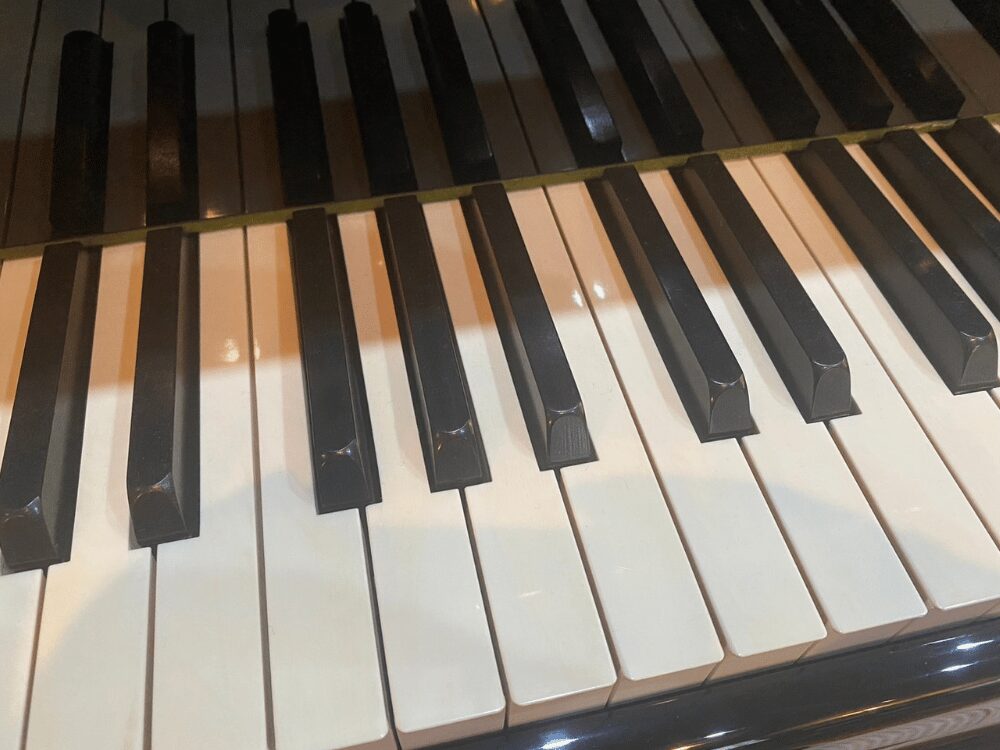 ベヒシュタイン190