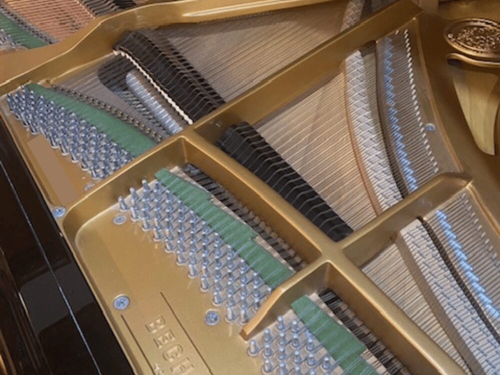 ベヒシュタイン190