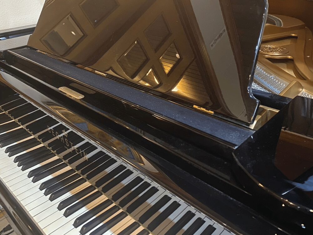 ベヒシュタイン190