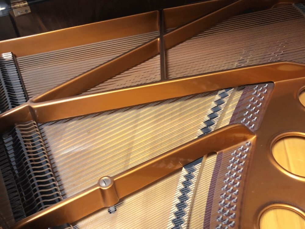 ベーゼンドルファー170