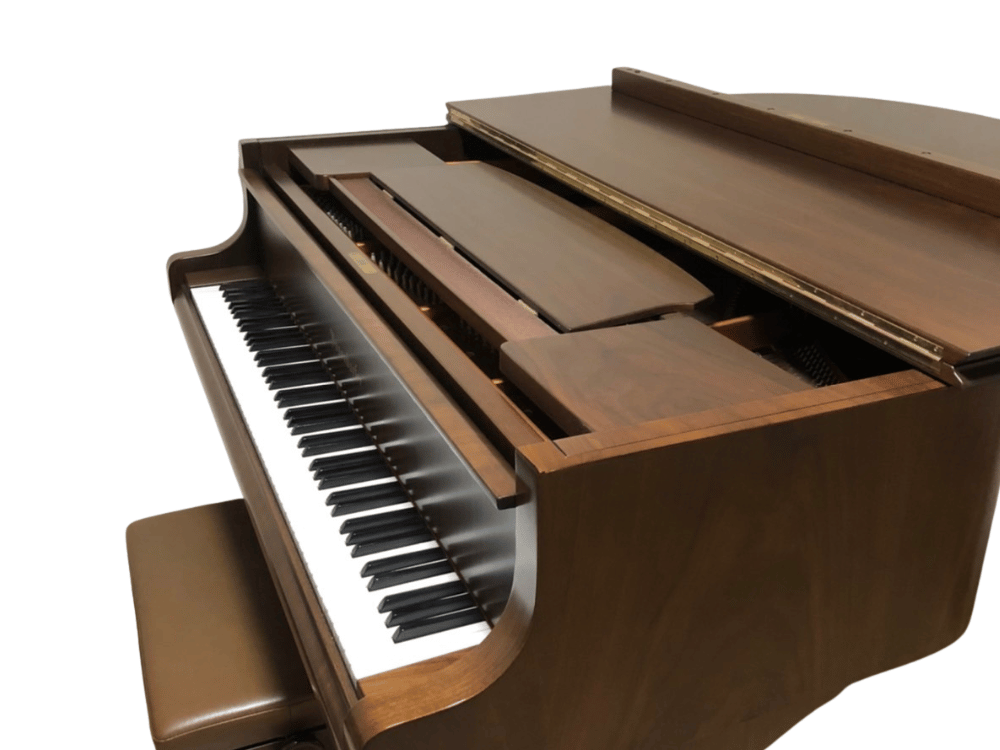 ベーゼンドルファー170