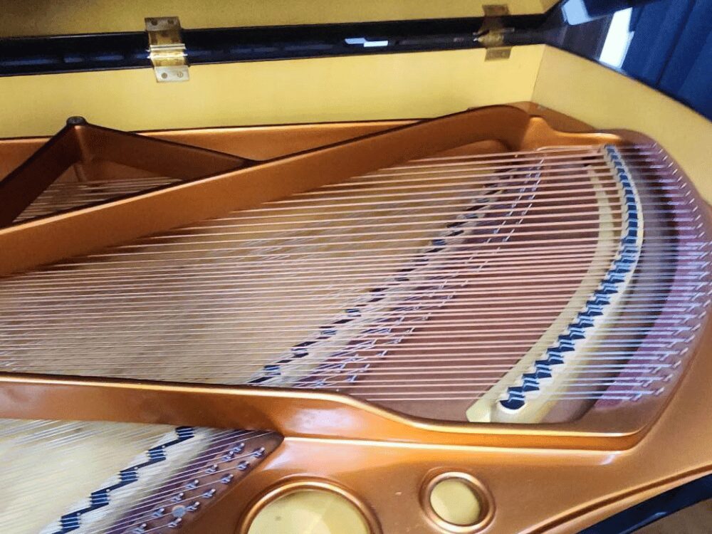 ベーゼンドルファー225