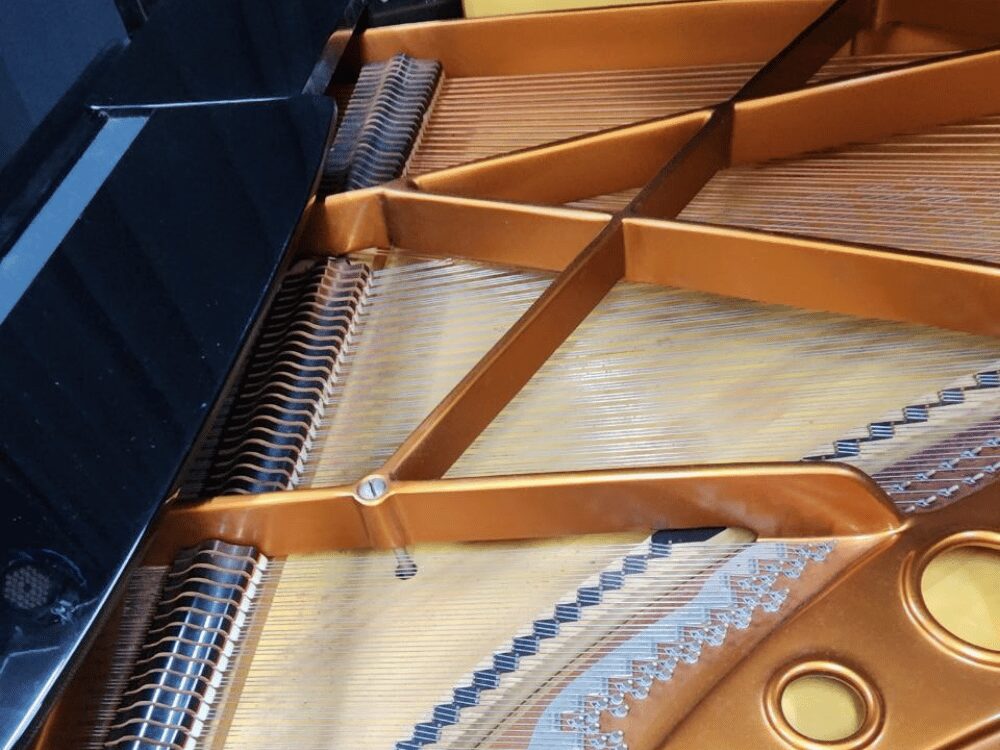 ベーゼンドルファー225