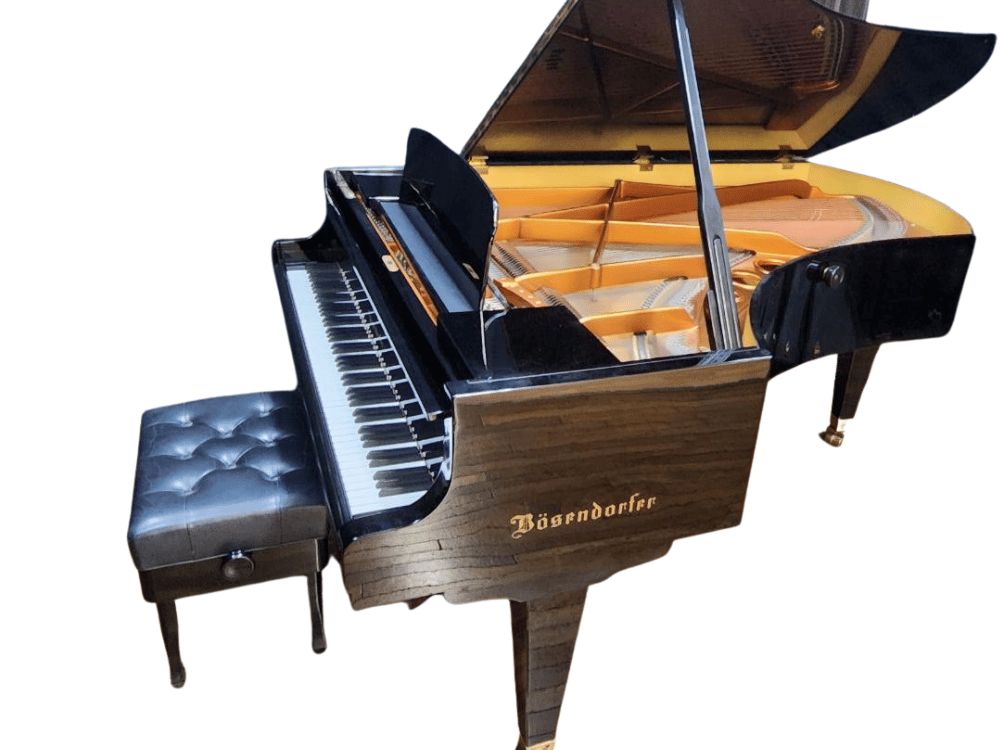 ベーゼンドルファー225