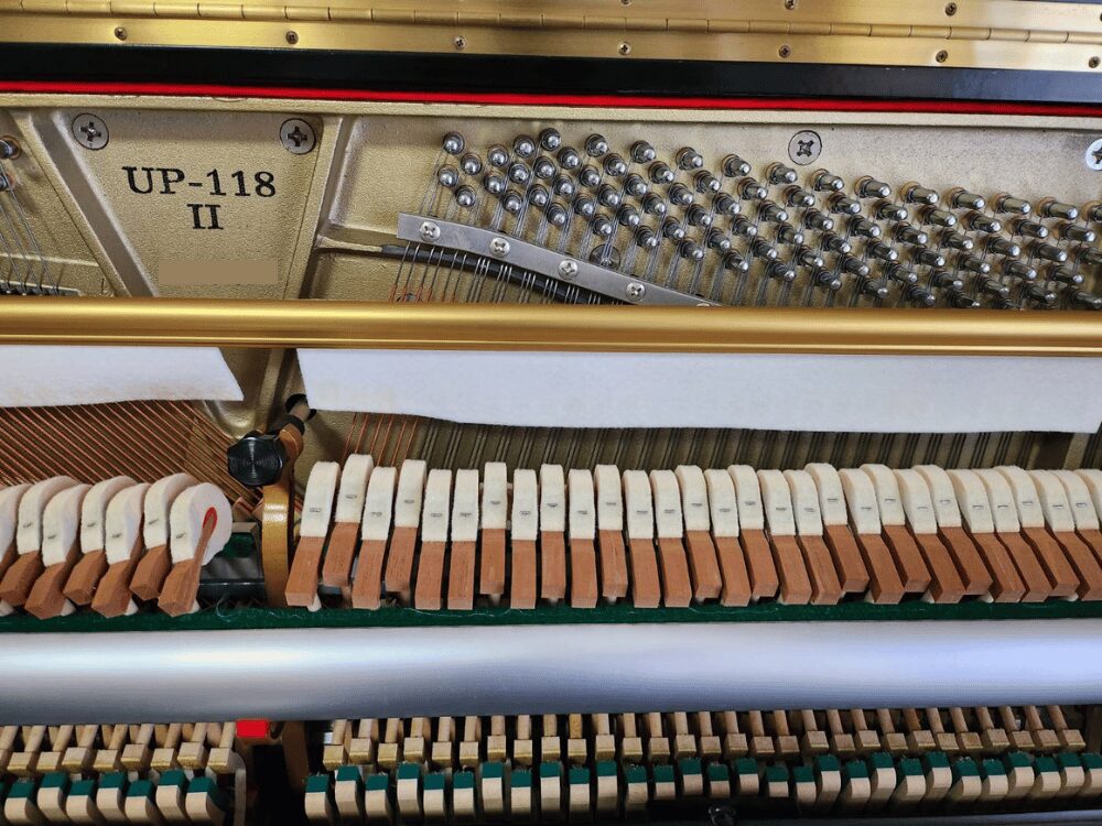 ボストンUP118-Ⅱ